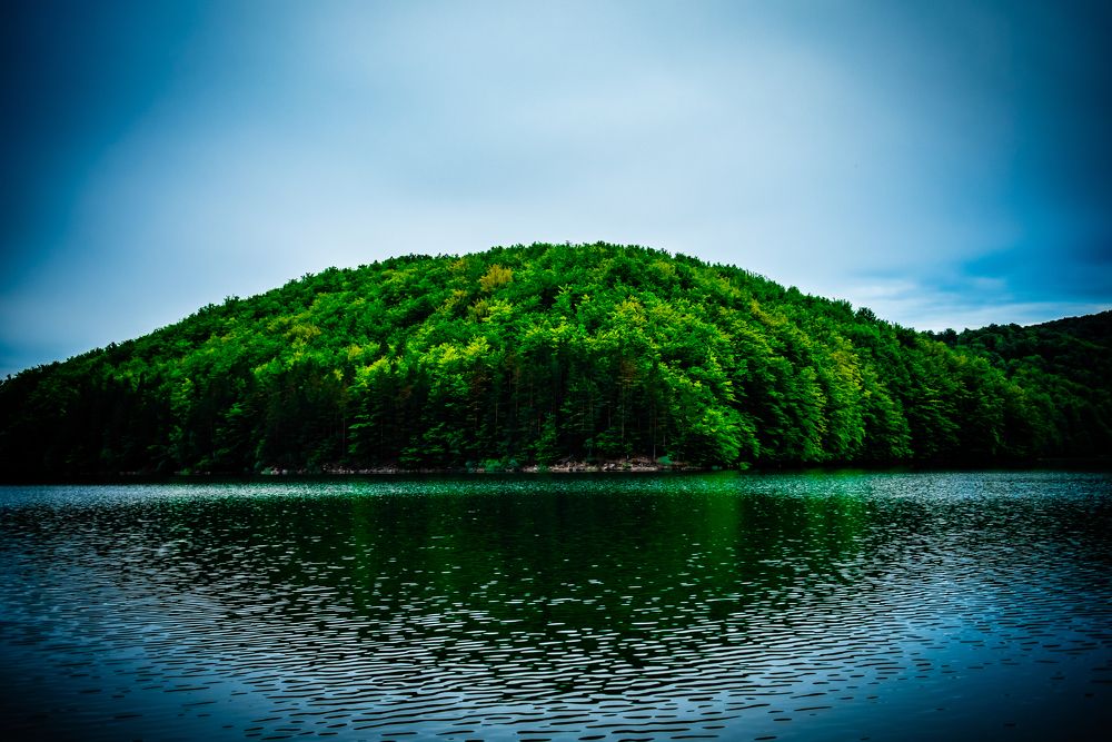 Photograph by Radu Constantinescu