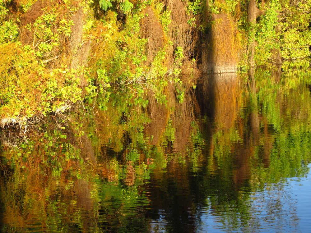 Краски отражения.