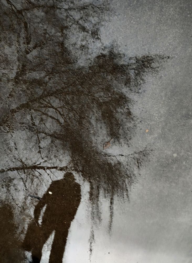 Photograph by Оксана Сабылина