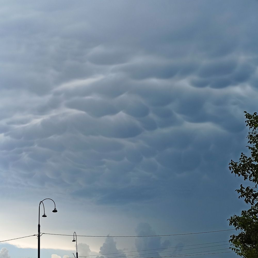 Photograph by Роман Рыбочкин