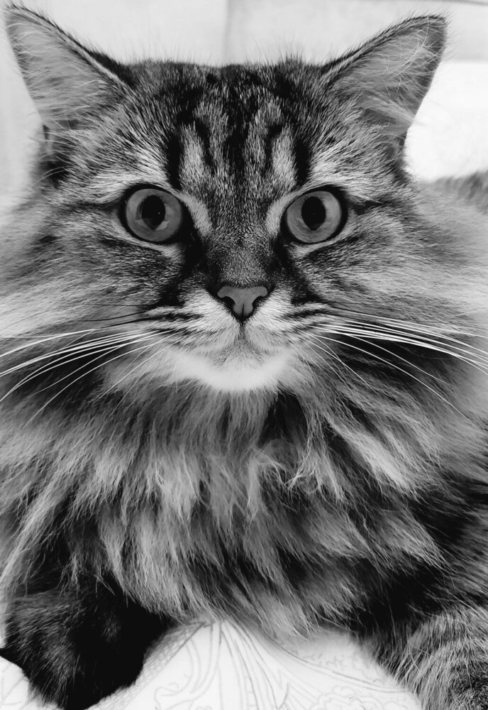 Photograph by natalya