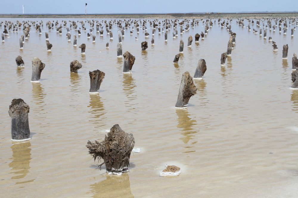 Photograph by Владимир Спиридонов