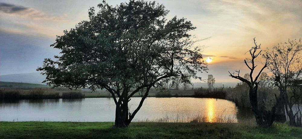 Photograph by Андрей Прокопенко