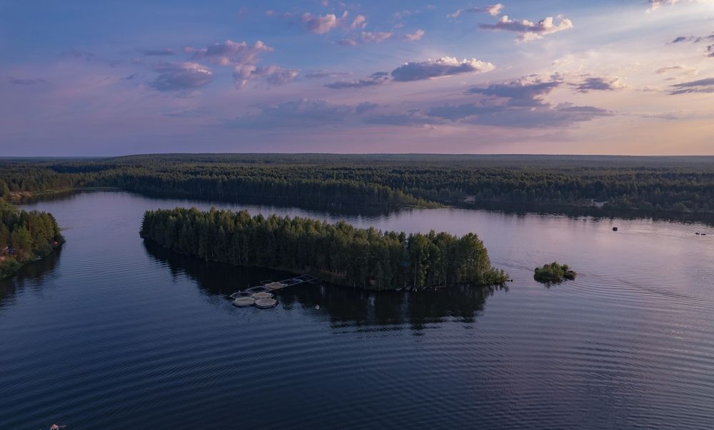 Photograph by Владислав Трушков