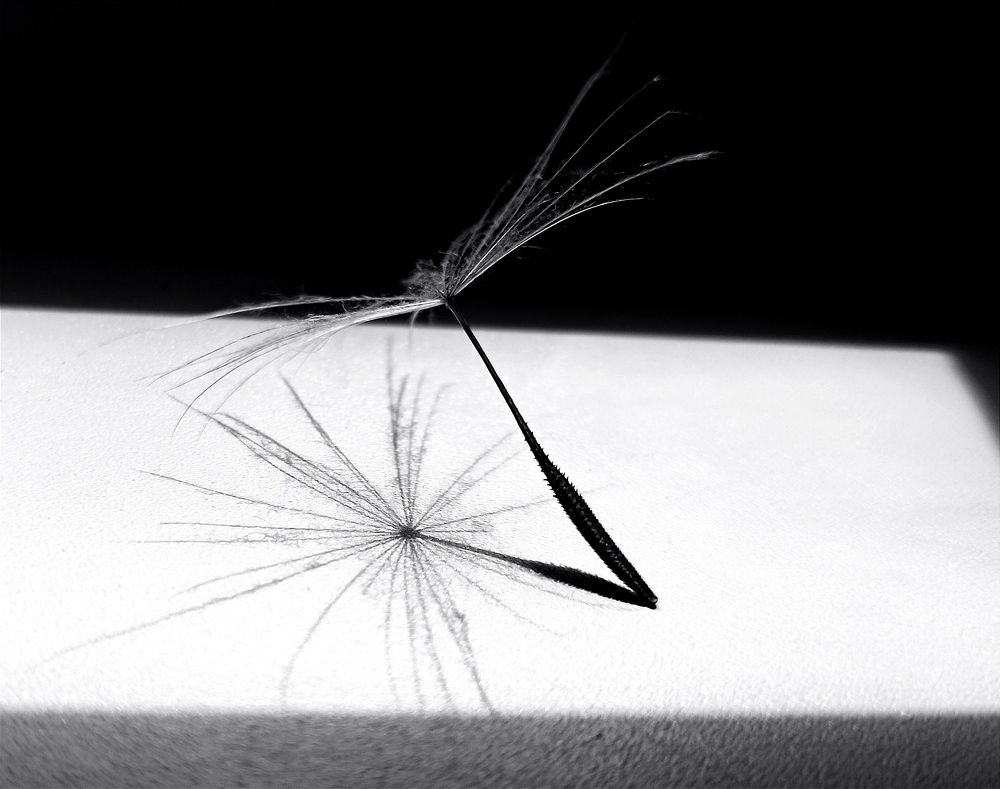 Photograph by Елена Боржковская