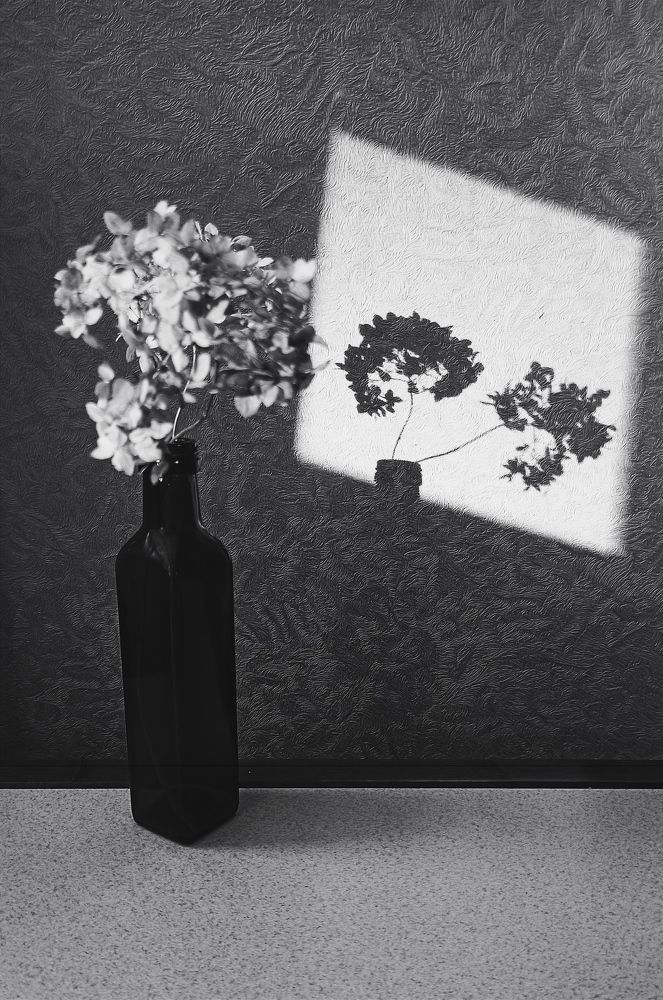 Photograph by Елена Боржковская