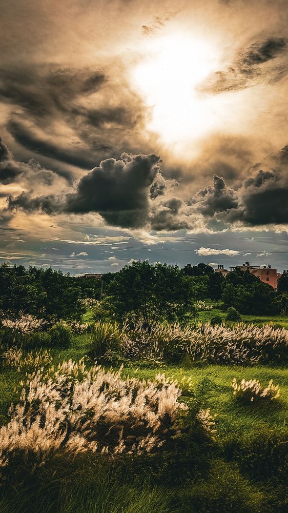 Фотография автора Arnab Nandi