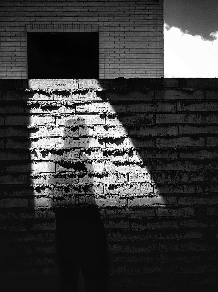 Photograph by mohammad fotouhi