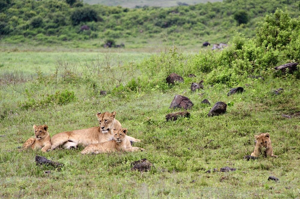 Photograph by Олег Банковский