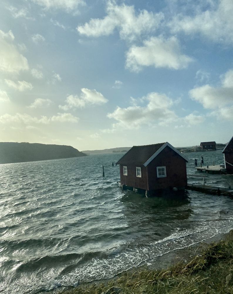 Photograph by andrei mihai