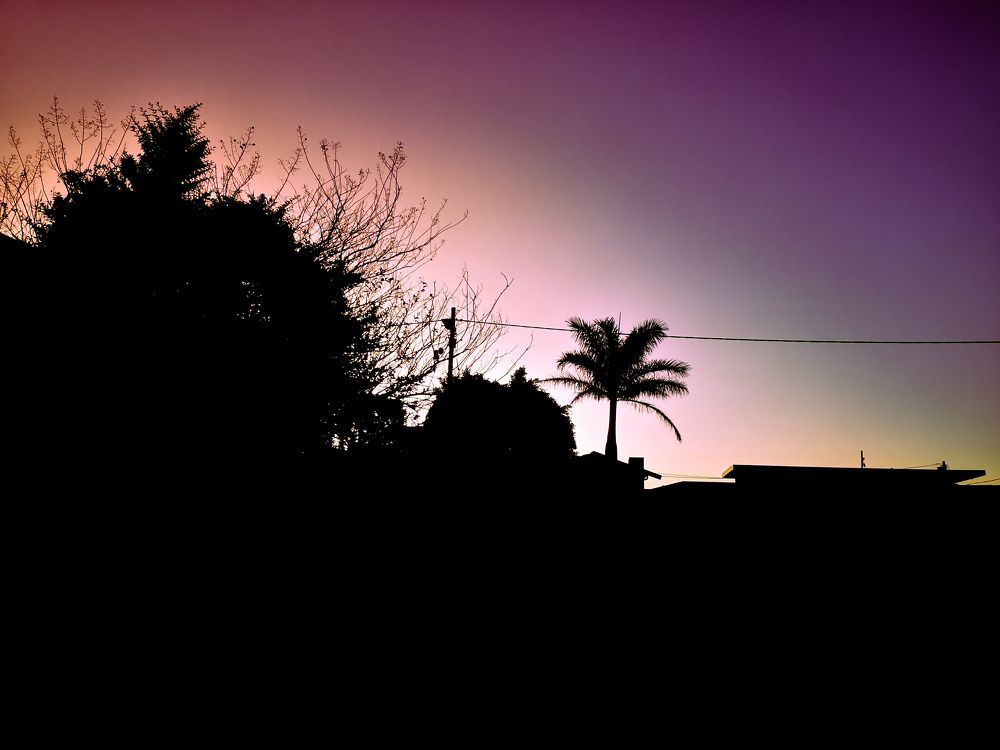 Photograph by Mfundo Xingwana