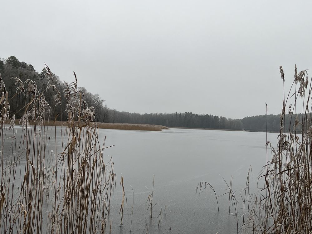 Photograph by Елена Зенкевич