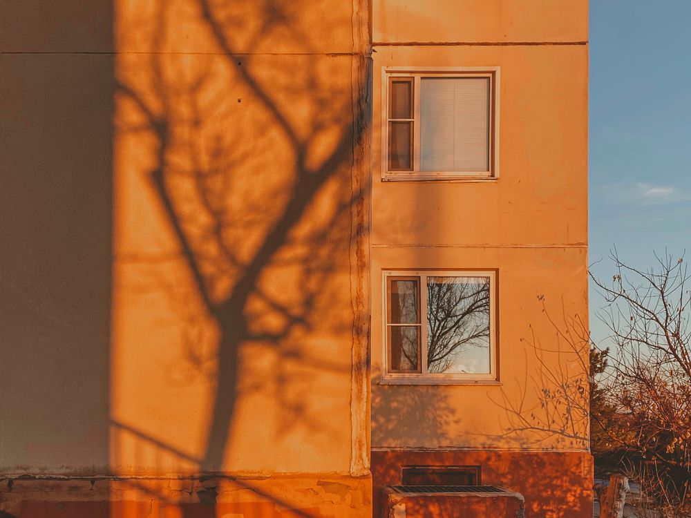 Photograph by Александра Шабаева