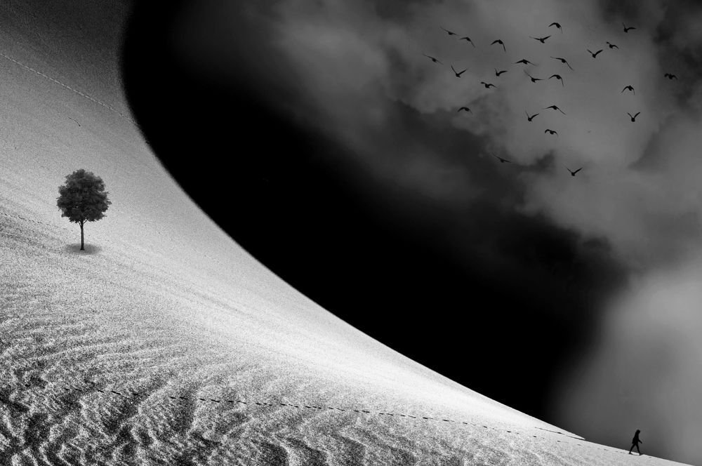 Photograph by mohammad fotouhi