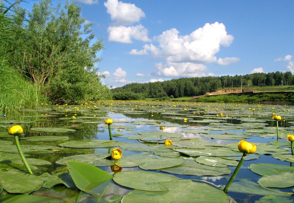 Photograph by Николай Останин