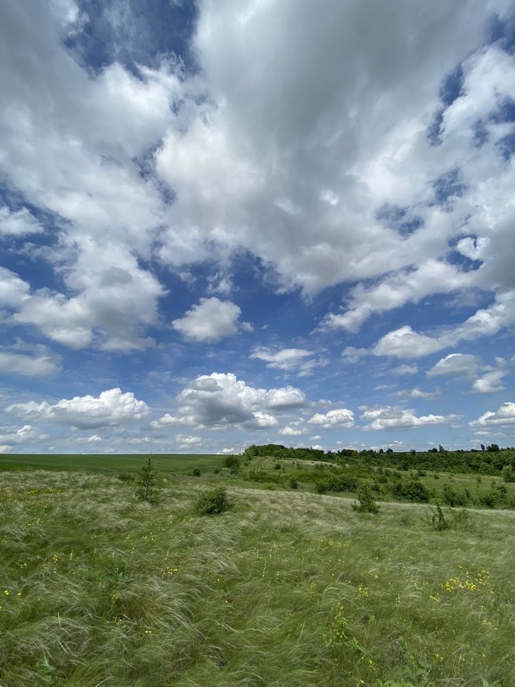 Photograph by Олена Уманцева