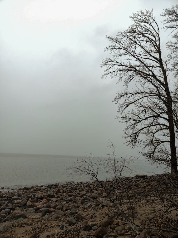 Photograph by Анна Полякова