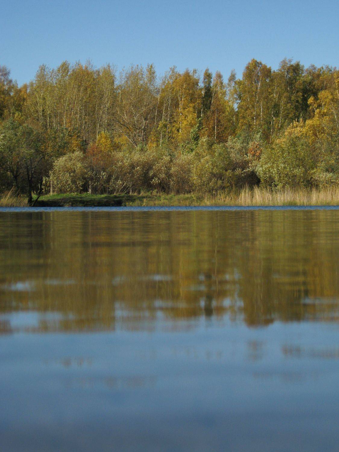 Photo #8366768