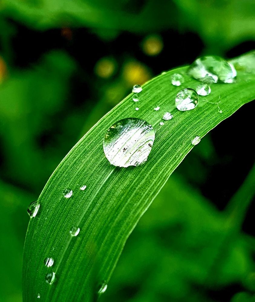 Photograph by SERGEY GORODOV