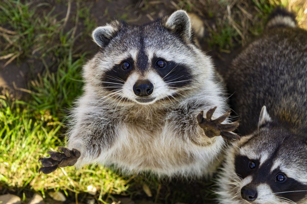 Photograph by Павел Минкевич