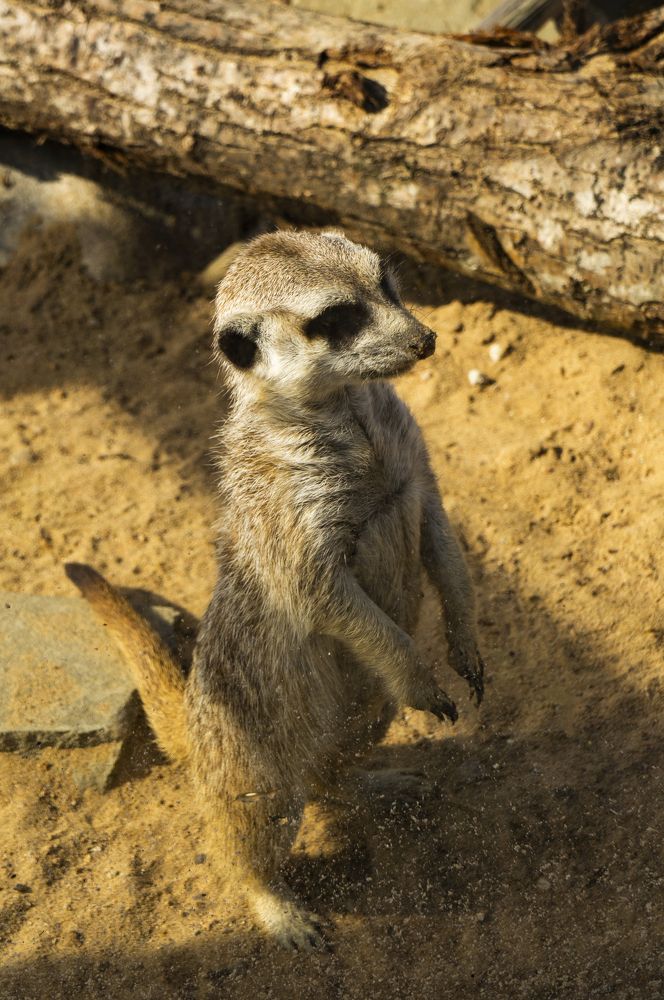 Photograph by Павел Минкевич