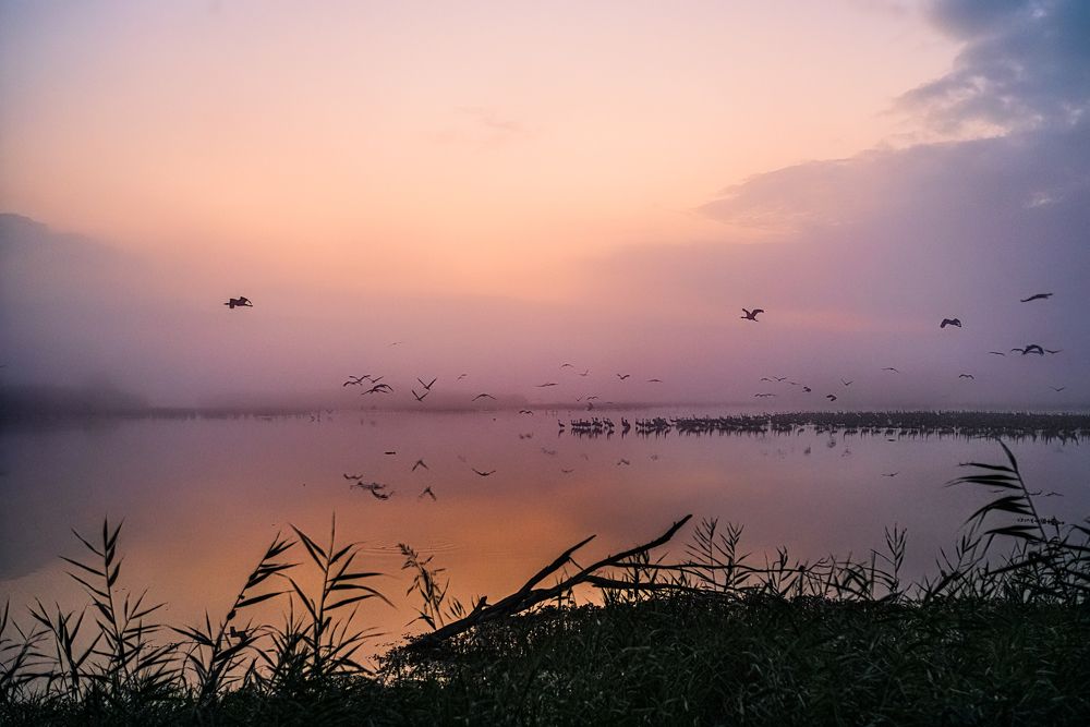 Photograph by Шварцман Евгений