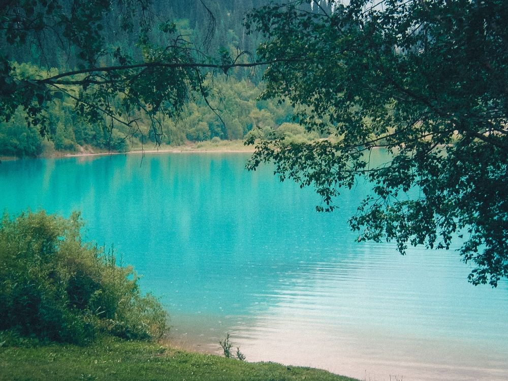 Фотография автора Юлия Гантимурова