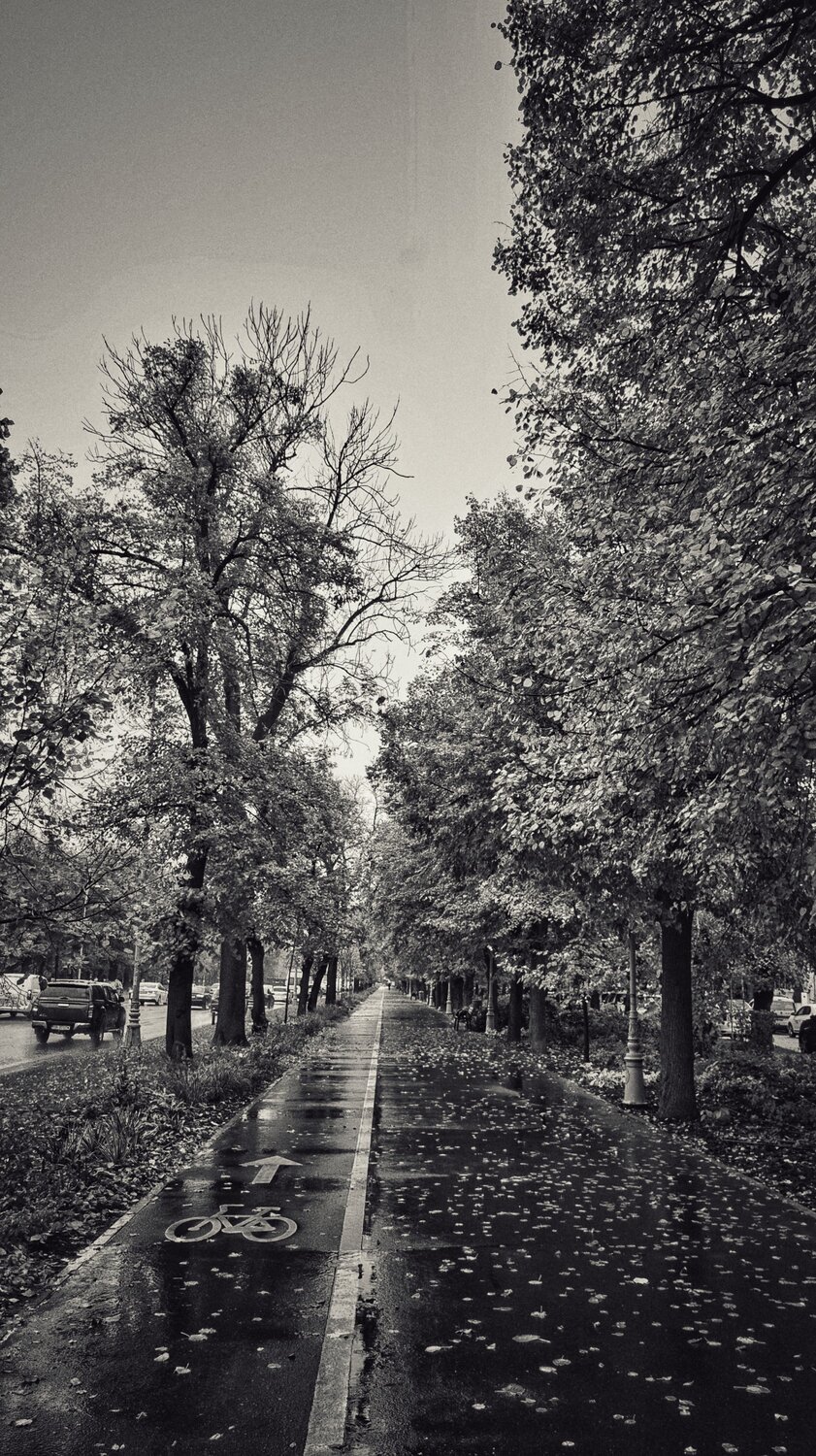 Rainy Morning