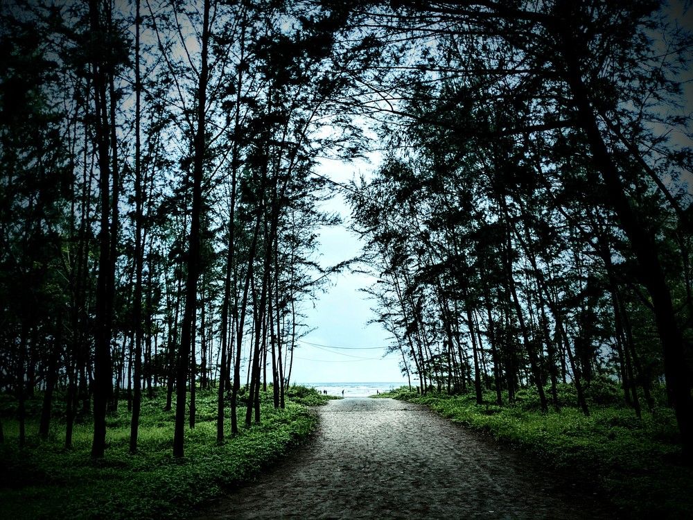 Way to beach