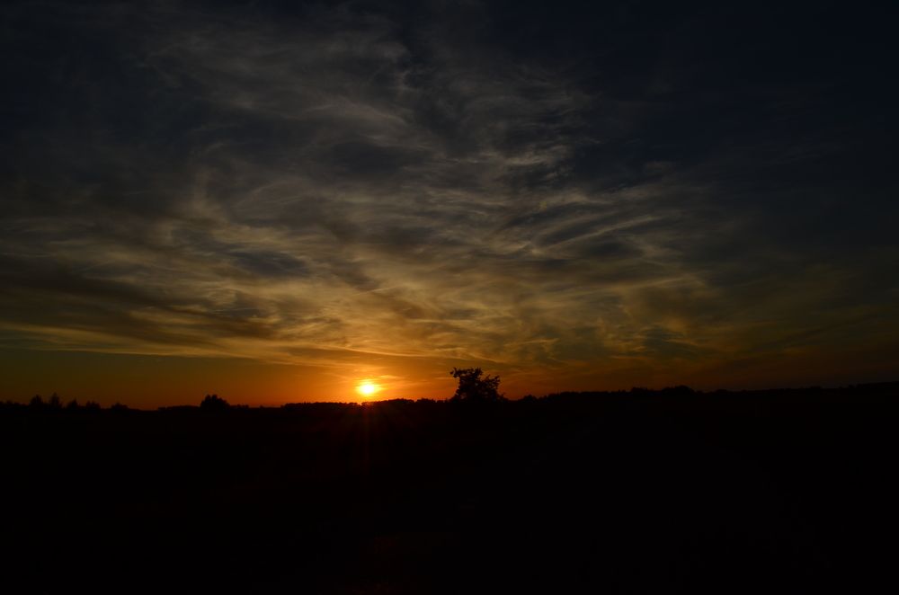 Photograph by Дарья Миронова