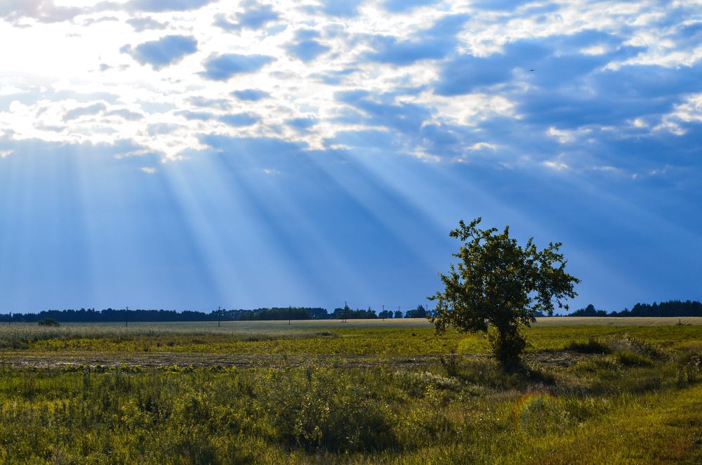 Photograph by Дарья Миронова
