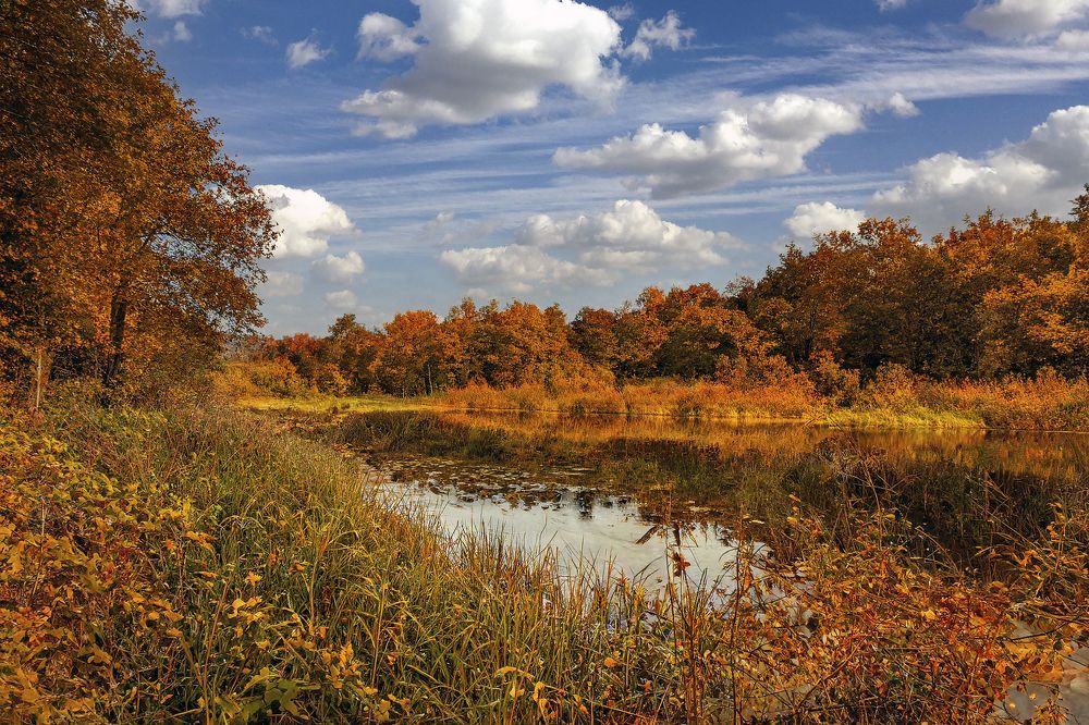 Photograph by Алексей Патлах