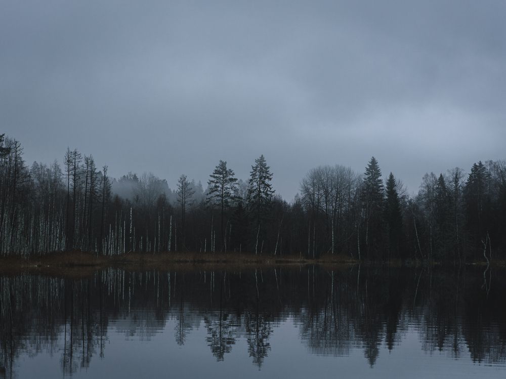 Фотография автора Илья Матвеев