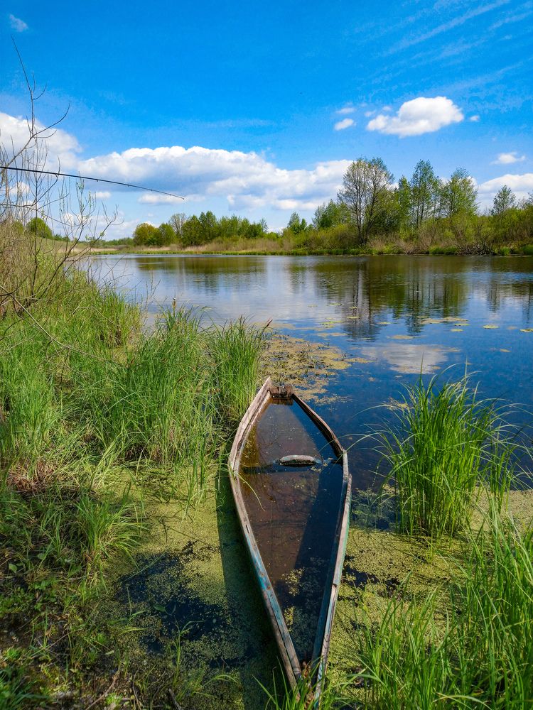 Photograph by Дарья Миронова