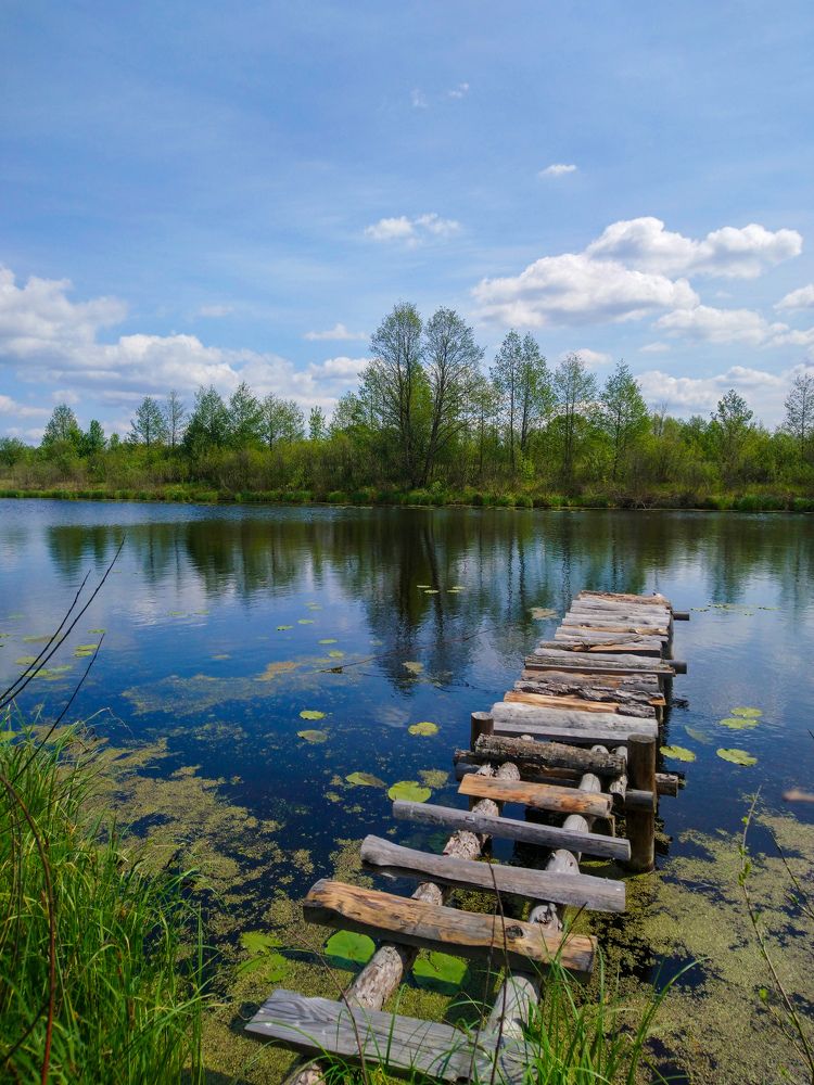 Photograph by Дарья Миронова