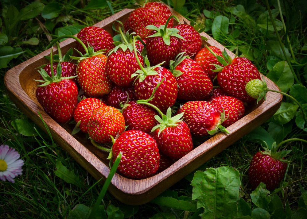 Фотография автора Юлия Кранина