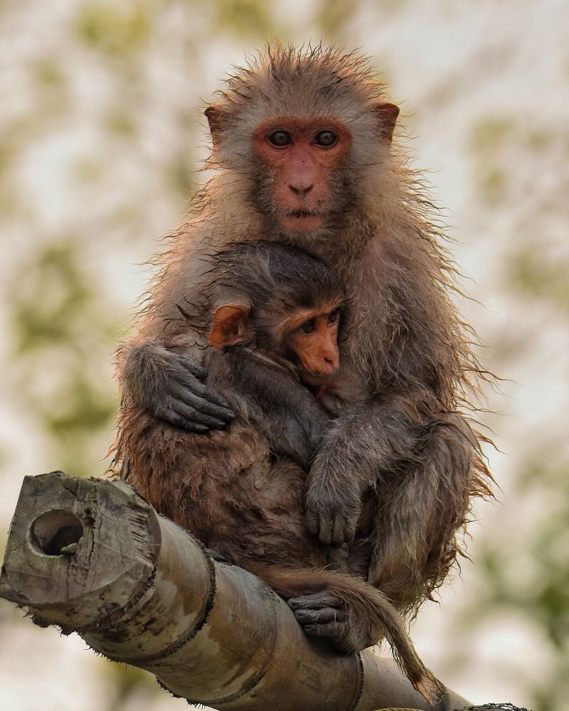 Photograph by Ayush Singh