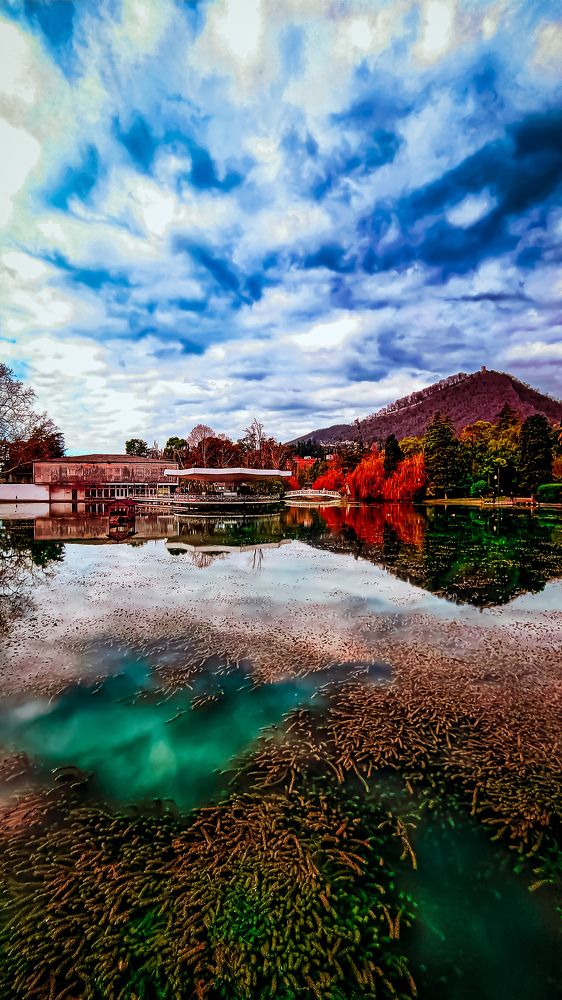 Фотография автора Всеволод Юрша