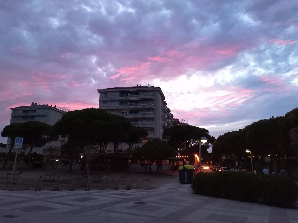 Photo #8367347