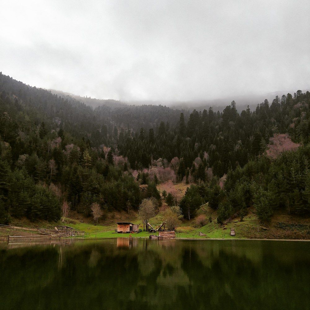 Фотография автора Mariam Martiashvili