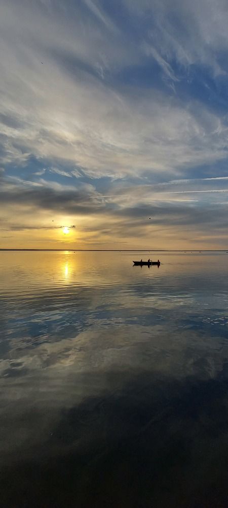 Photo #8367363