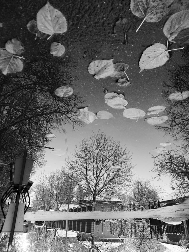 Photograph by Кристина Присакарь