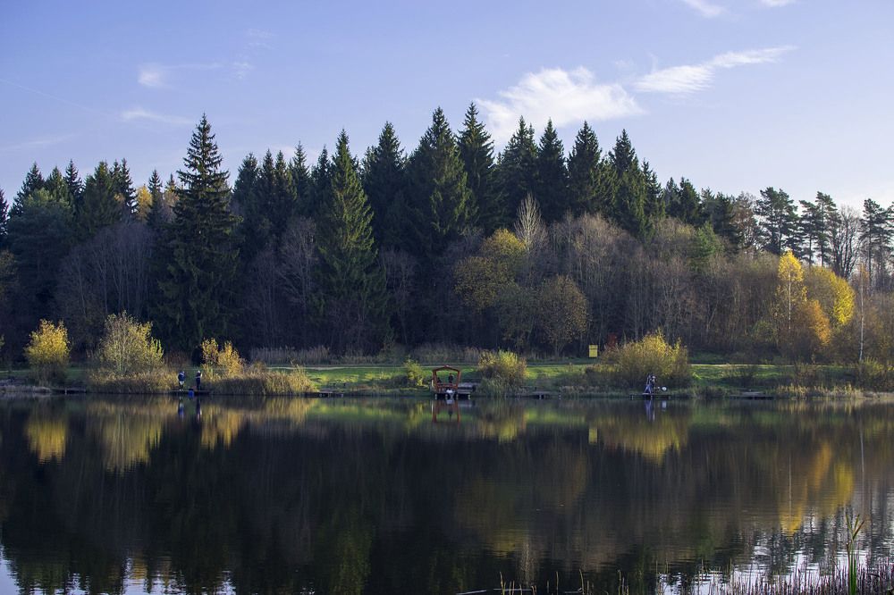 Фотография автора Андрей Гордиенко