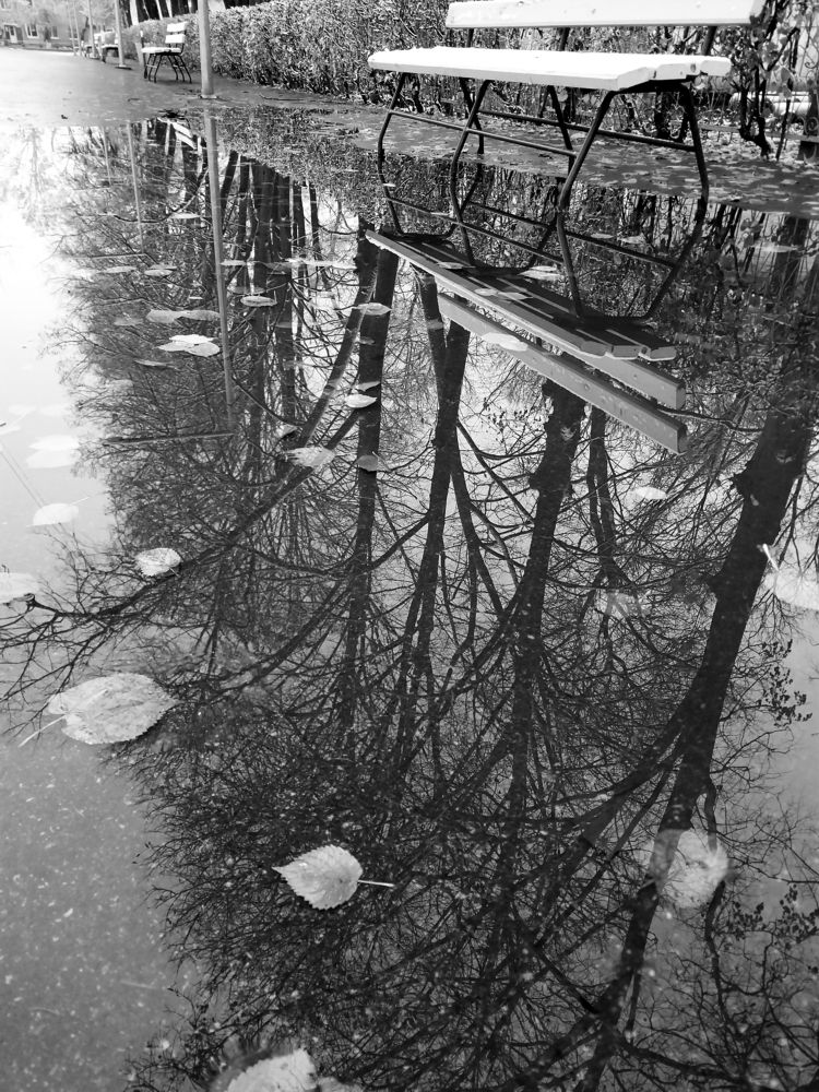 Photograph by Кристина Присакарь