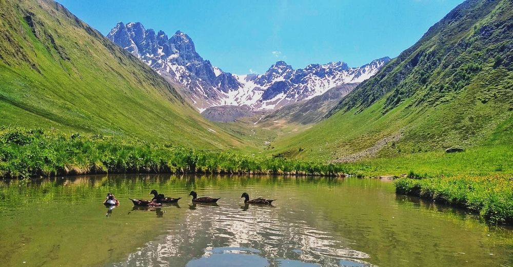 Фотография автора Mariam Martiashvili