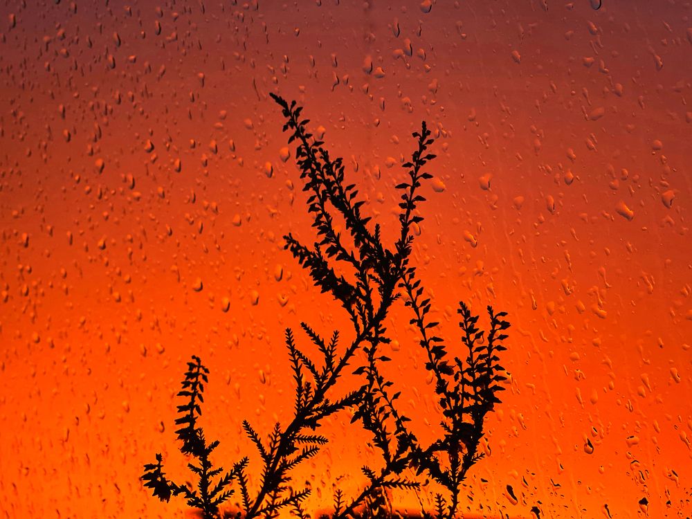 Photograph by Evgenia Barinova