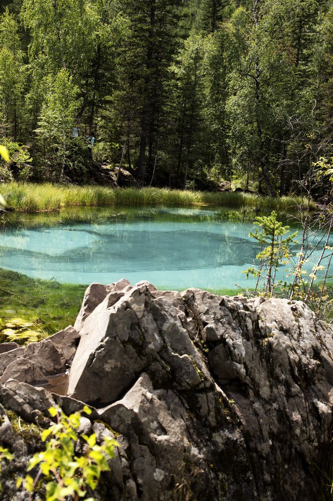 Фотография автора Наталья Смекалина