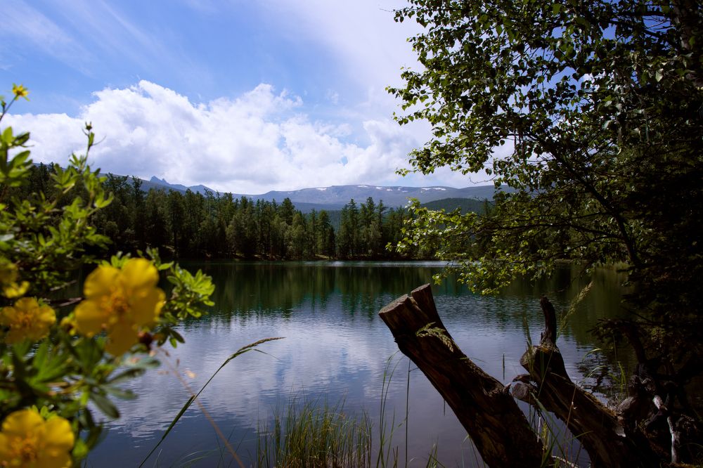 Фотография автора Наталья Смекалина