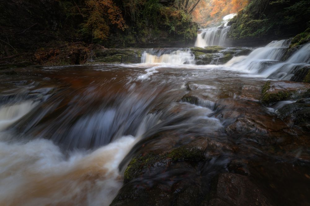 Photograph by Andrzej Breur