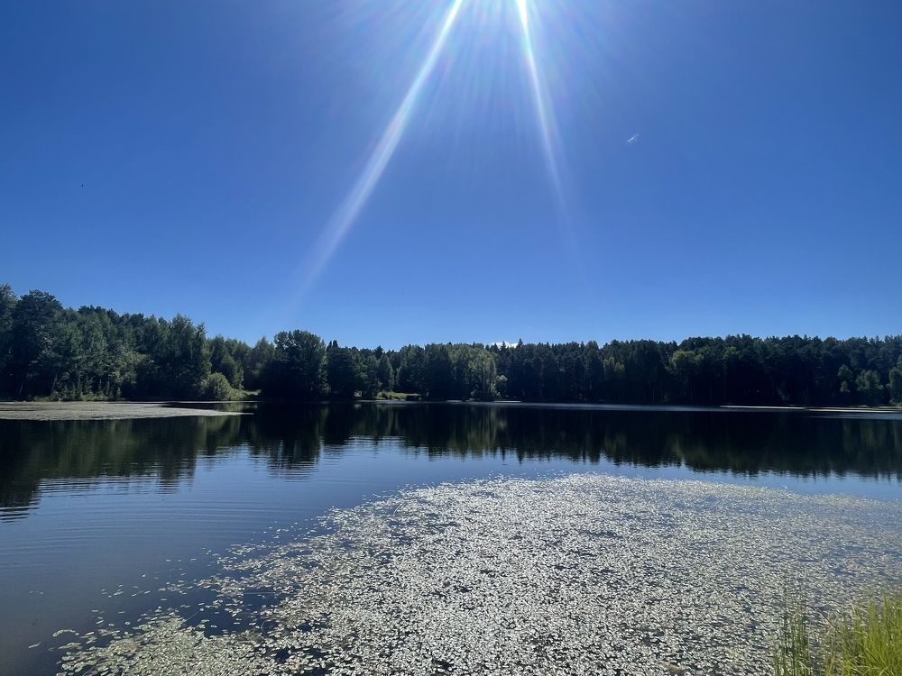 Фотография автора Nadezhda